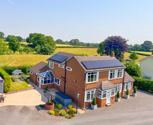 Photo 5- click for photo gallery